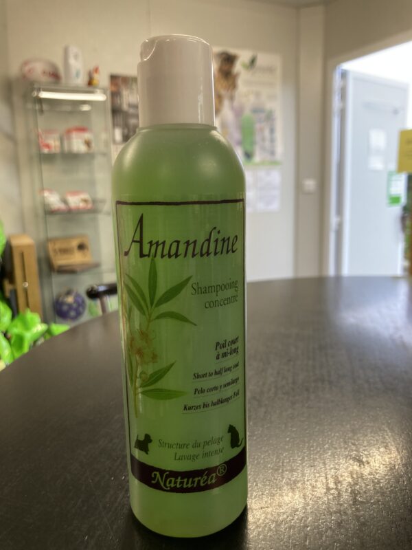 shampooing naturel chat chien