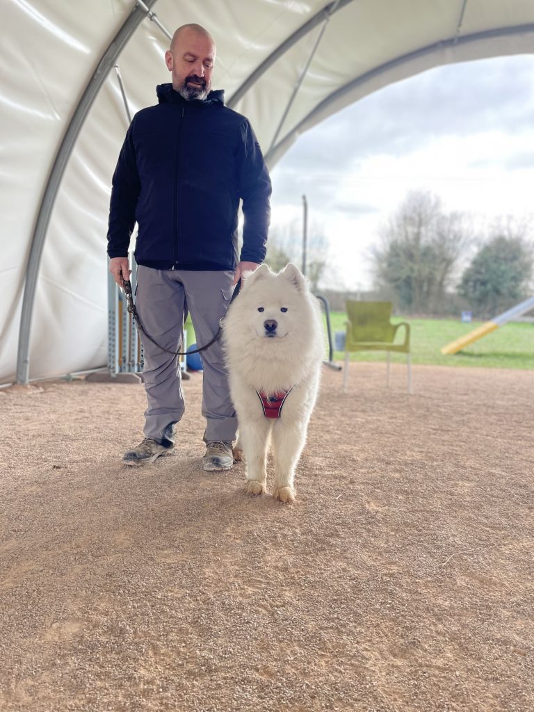 Julien Lagaise - Educateur canin à Rennes et Saint Malo - Westdog Academy